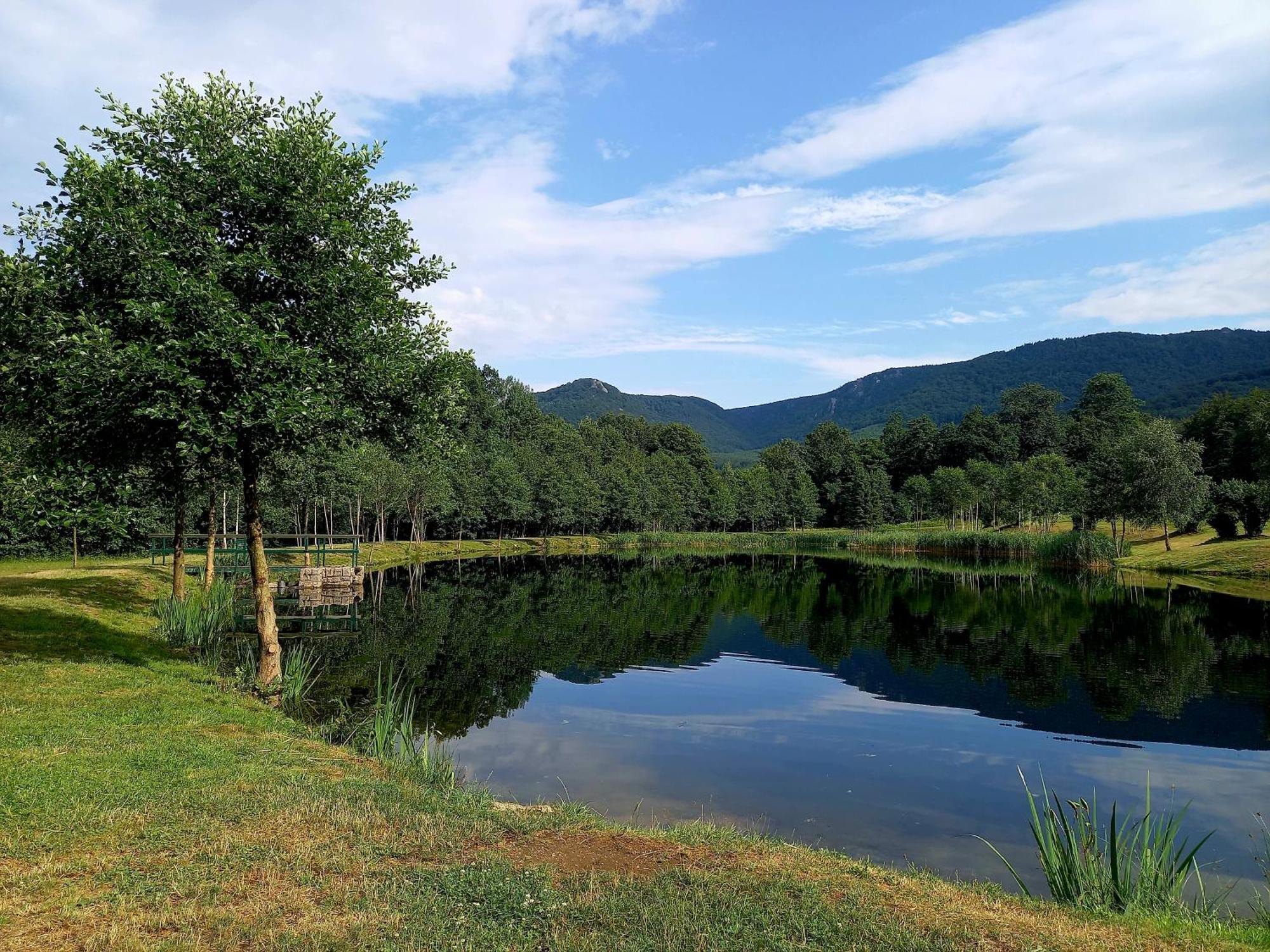 Penzion Pod Sudem Lázně Libverda Exterior foto