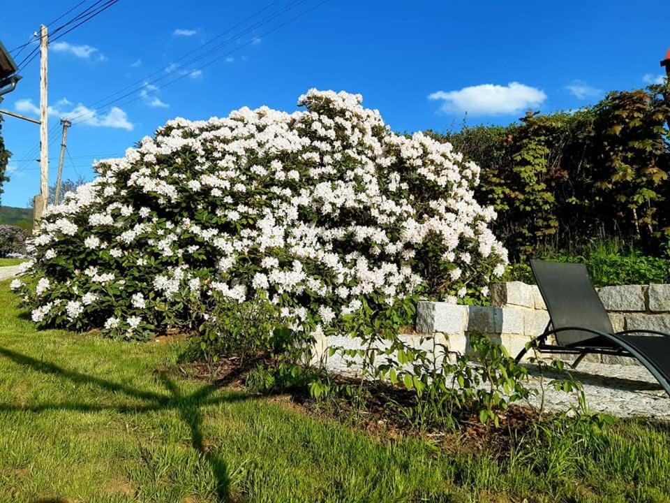 Penzion Pod Sudem Lázně Libverda Exterior foto